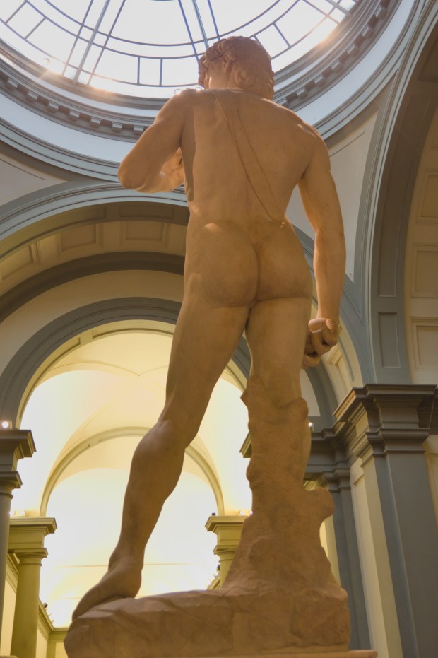 DAVID;FLORENCE