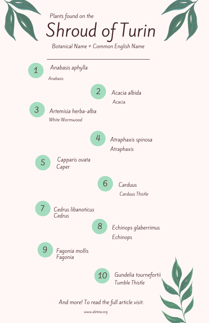 Green-Pink-Organic-Illustration-Skincare-Infographic-Flyer-5.5-×-8.5-in-1-1.png
