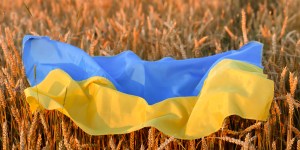 Ukraine as the breadbasket of the world: Are we in danger of food shortages?