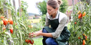 Ask God to bless your garden with this prayer