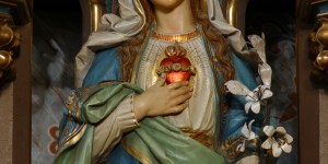 What is the Sacred Heart of Mary?