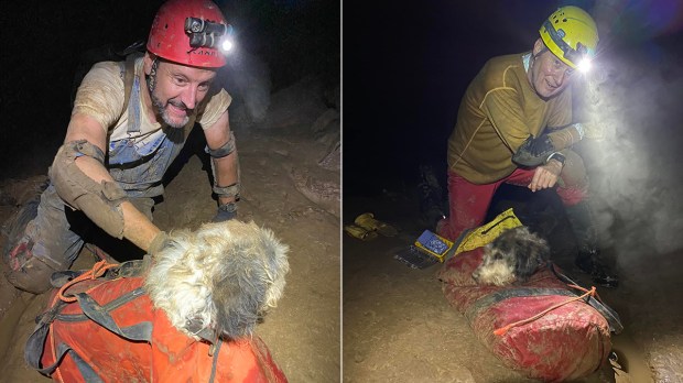 Abby-the-dog-found-by-cavers-at-a-cave-in-Perryville