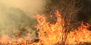With 1,000 firefighters battling horrific wildfires, French fire chief says he&#8217;s &#8220;waiting for God&#8221;