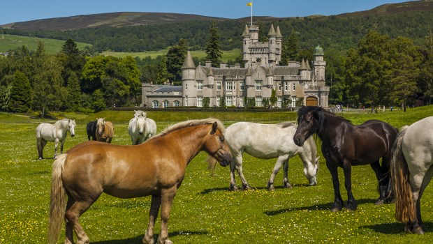 BALMORAL