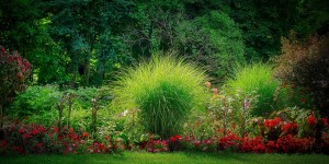 5 Ways to create a Rosary garden