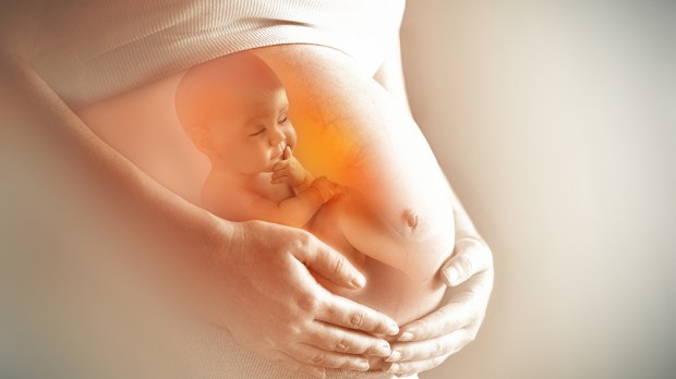 baby in womb, mother’s hands