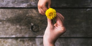 How Chiara Corbella&#8217;s husband helped me understand the purpose of life