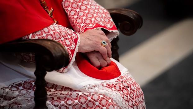 Cardinal Walter Brandmuller