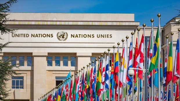 United Nations building and flags