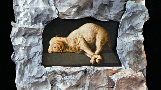 Sacrificial lamb