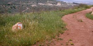 From Nazareth to Capernaum: Walk the Jesus Trail