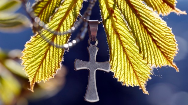 Cross with leaves, environment, laudato si