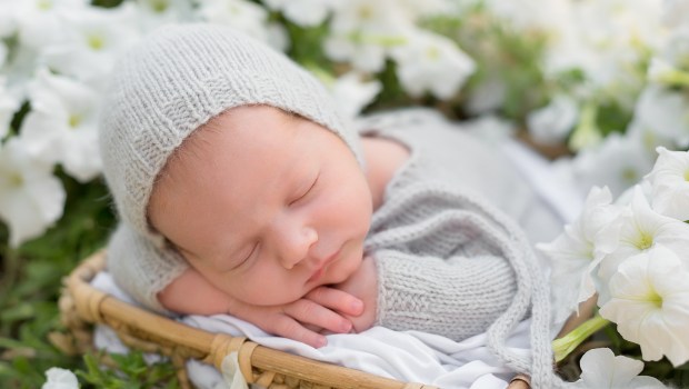newborn baby spring