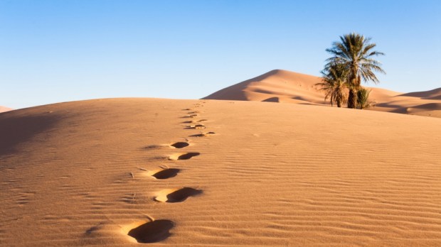 footprints in the middle of the desert
