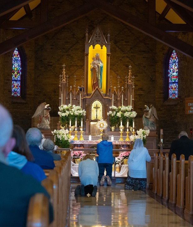 The National Shrine of our Lady of Good Help