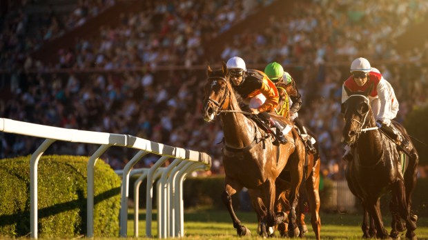 Two jockeys during horse race