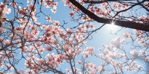 The problem with seeing too much wrong with the world