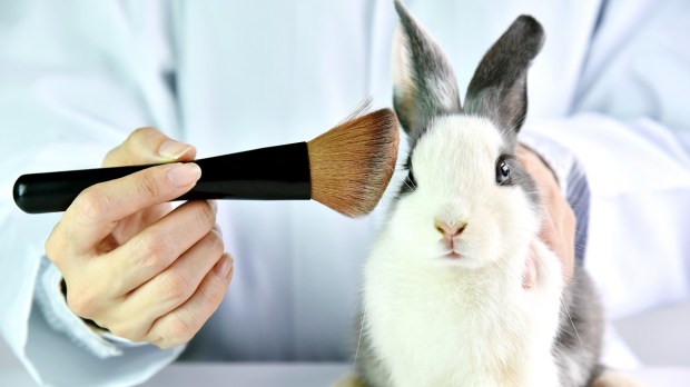 Lab bunny, research animal, cosmetics