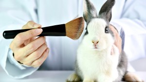 Lab bunny, research animal, cosmetics