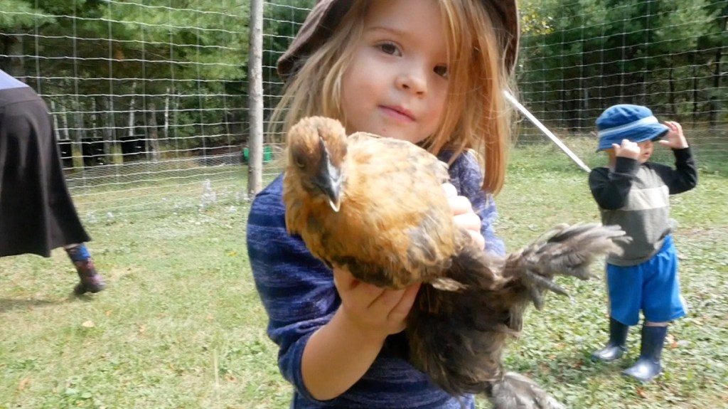 Jacob Rudd family, children, chickens