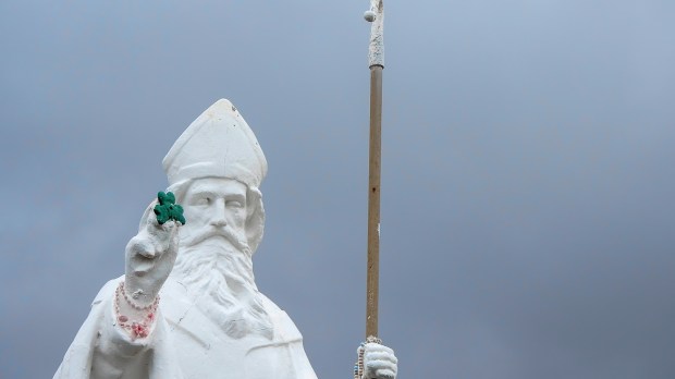 St. Patrick Statue, shamrock