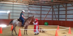 Meet the Wisconsin nuns who keep a barn full of horses