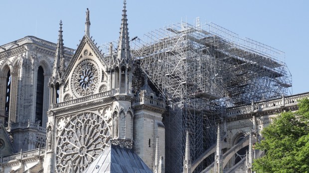 Notre Dame Scaffolding