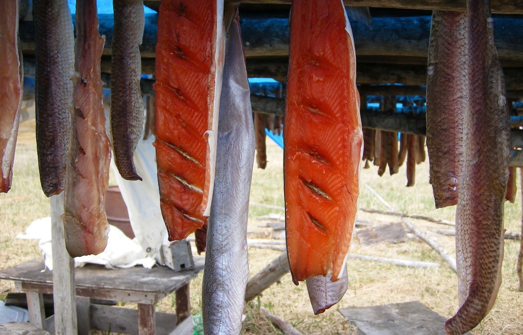 FISH-DRYING-SUBSISTENCE-CAMP.jpg