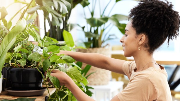 woman-plants-care-water-garden