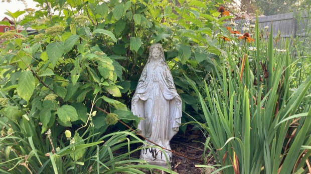 Mary-statue-garden