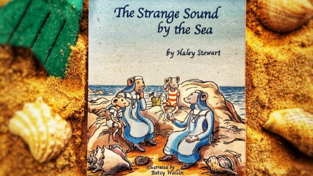 Strange Sound by the Sea book on beach