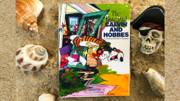 Book "the Essential Calvin and Hobbes" on beach
