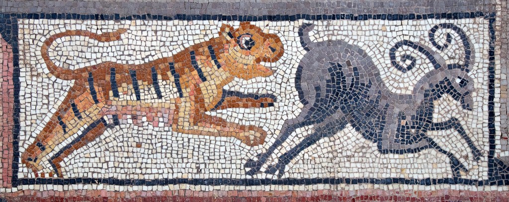 Tiger-chasing-ibex-decorative-border-panel-in-the-Huqoq-synagogue-mosaic-photo-by-Jim-Haberman.jpg