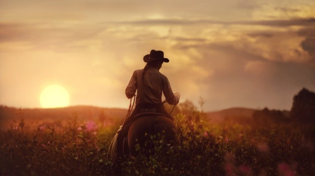 rancher man horseback sunset field