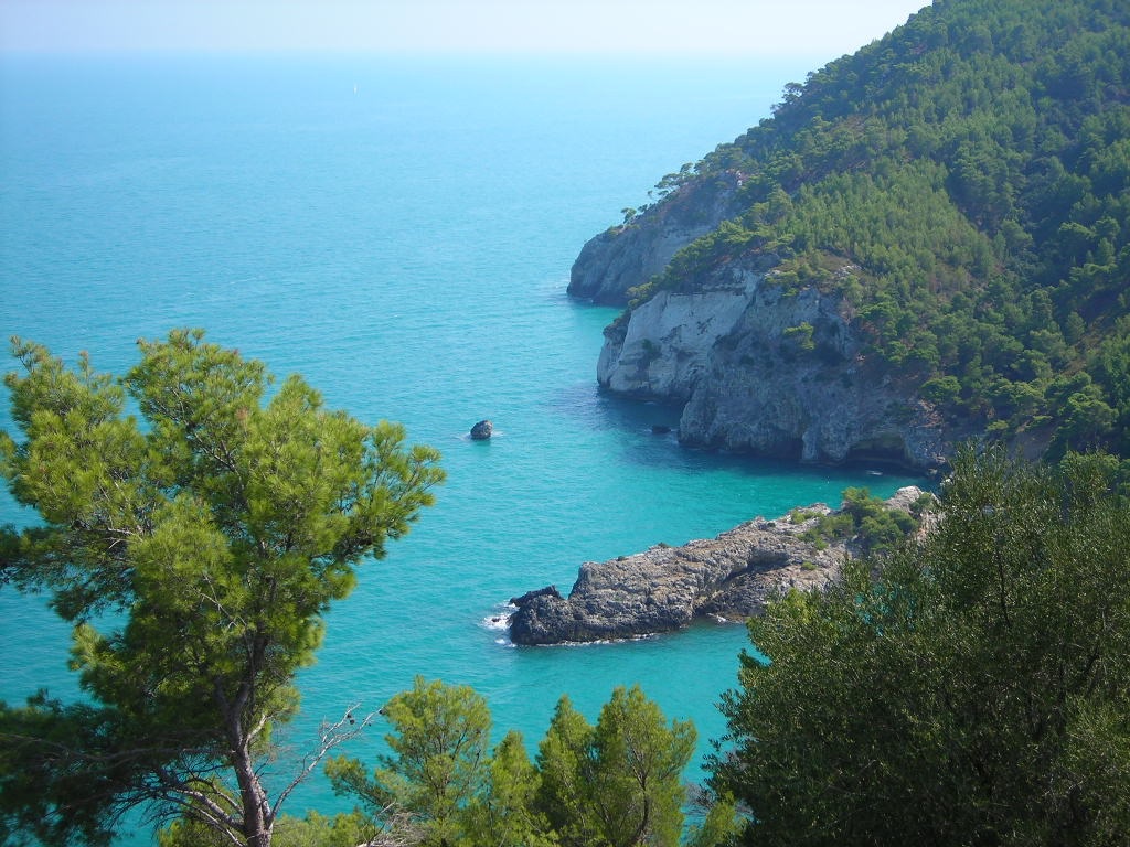 Gargano - Vista dalla litoranea