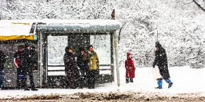 Reflecting upon the quiet heroism of winter mornings
