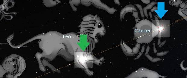 astrology