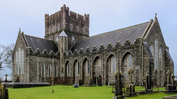 St. Brigid Cathedral, Kildare