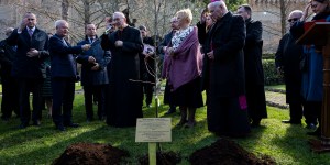 Tree in the Vatican honors the Ulma family&#8217;s &#8220;gift of life&#8221;