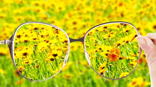 Glasses in Focus, flowers