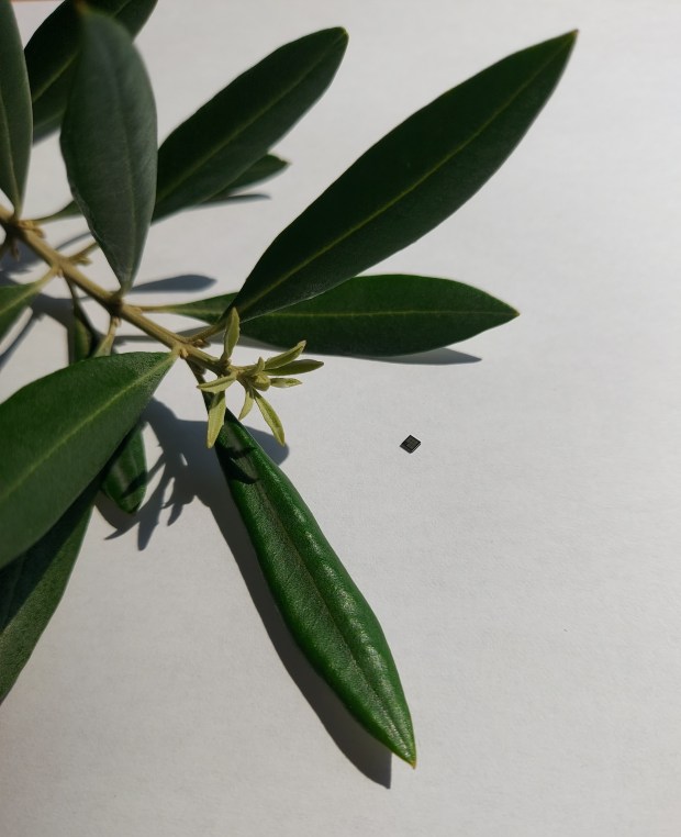 Nanobook Space speisatelles
